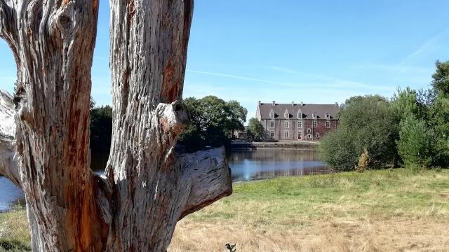 château, légendes arthuriennes, lac de Viviane, parc boisée, Concoret, brocéliande, Morbihan, Bretagne