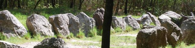 jardin aux moines site mégalithique en forêt de Brocéliande