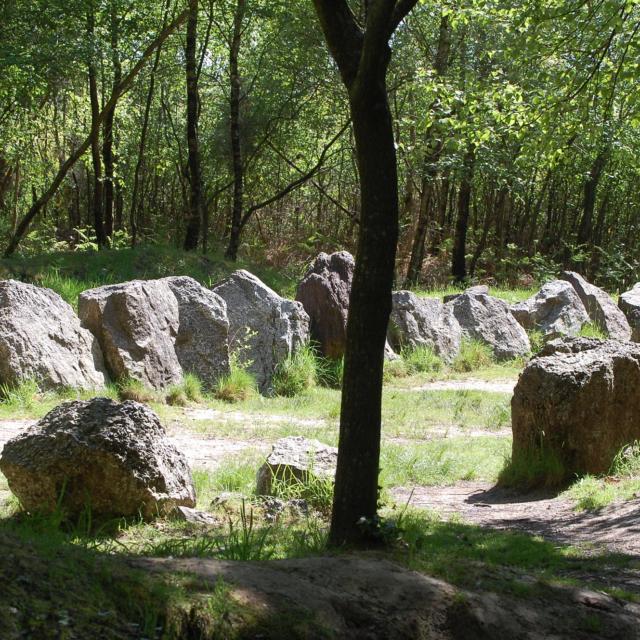 jardin aux moines site mégalithique en forêt de Brocéliande