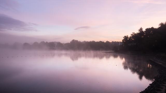 Paysage du lac au Duc à l'aube à Ploërmel