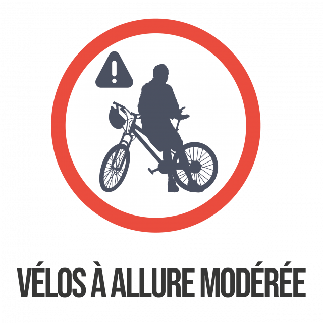 Logo Bonnes Pratiques Trémelin